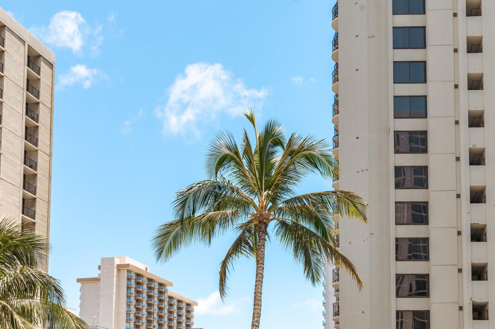 Ferienwohnung Upscale Penthouse With Ocean Views - Free Parking Honolulu Exterior foto